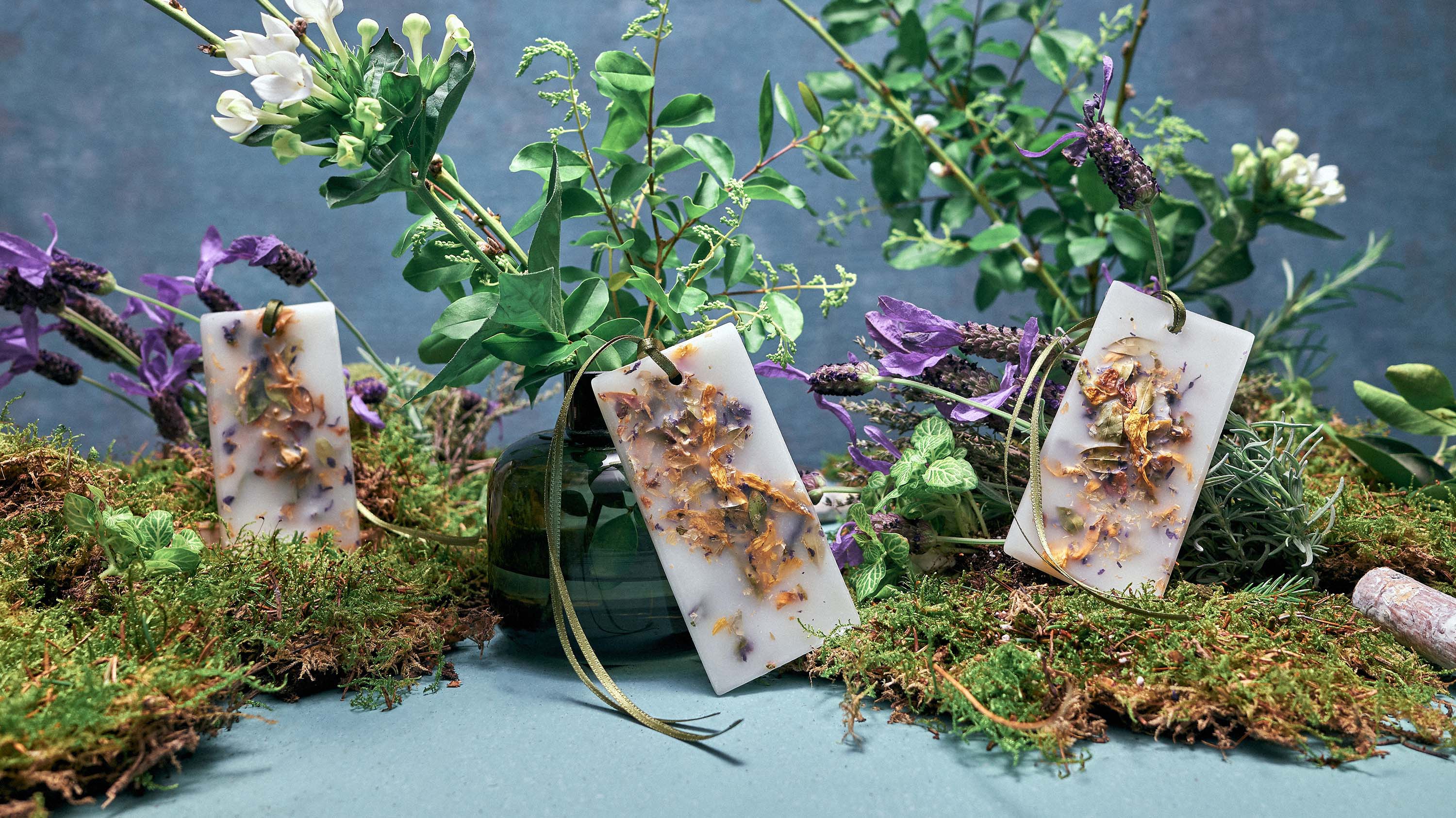 Pot Pourri: Scented Wax Tablets - Santa Maria Novella