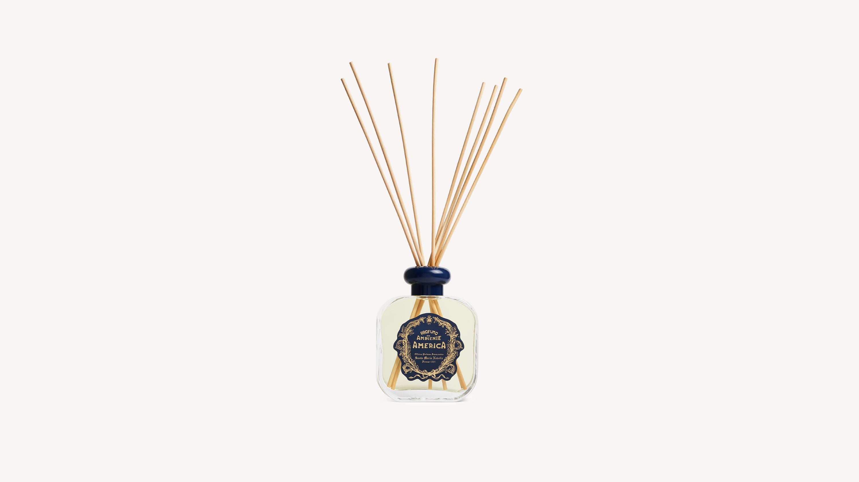 America: Fragrance Diffuser Santa Maria Novella