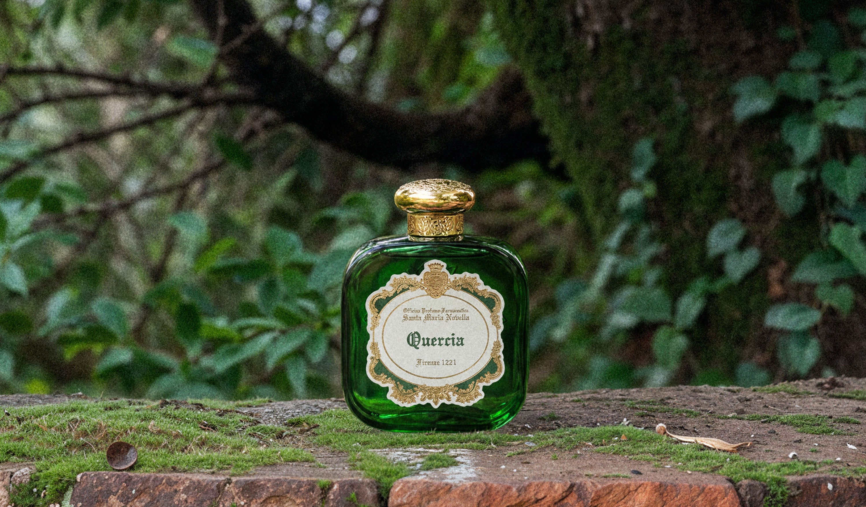 Quercia