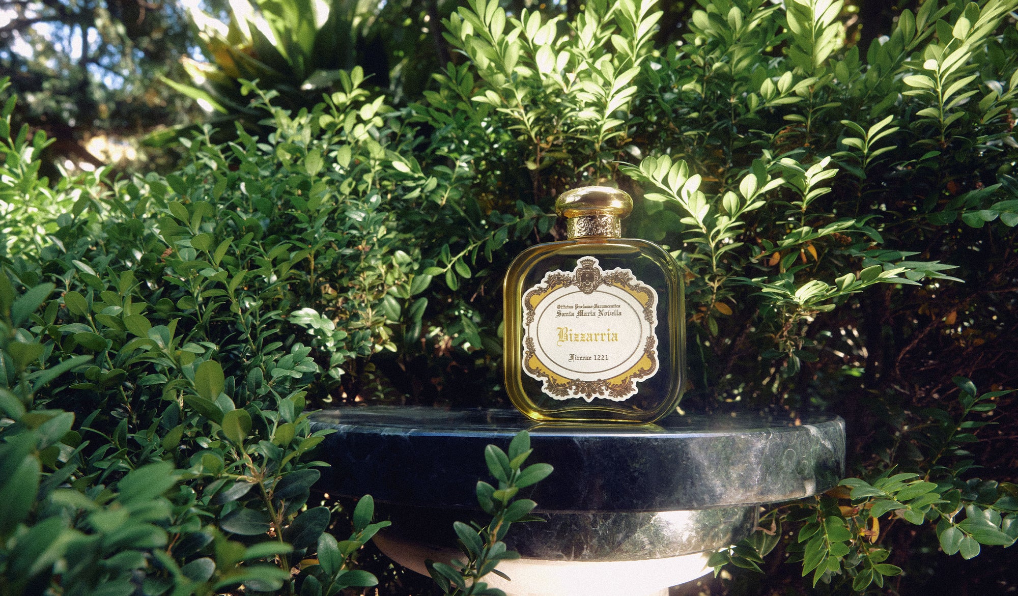 Eau de Parfum 'Bizzarria' 100 ml Perfumes