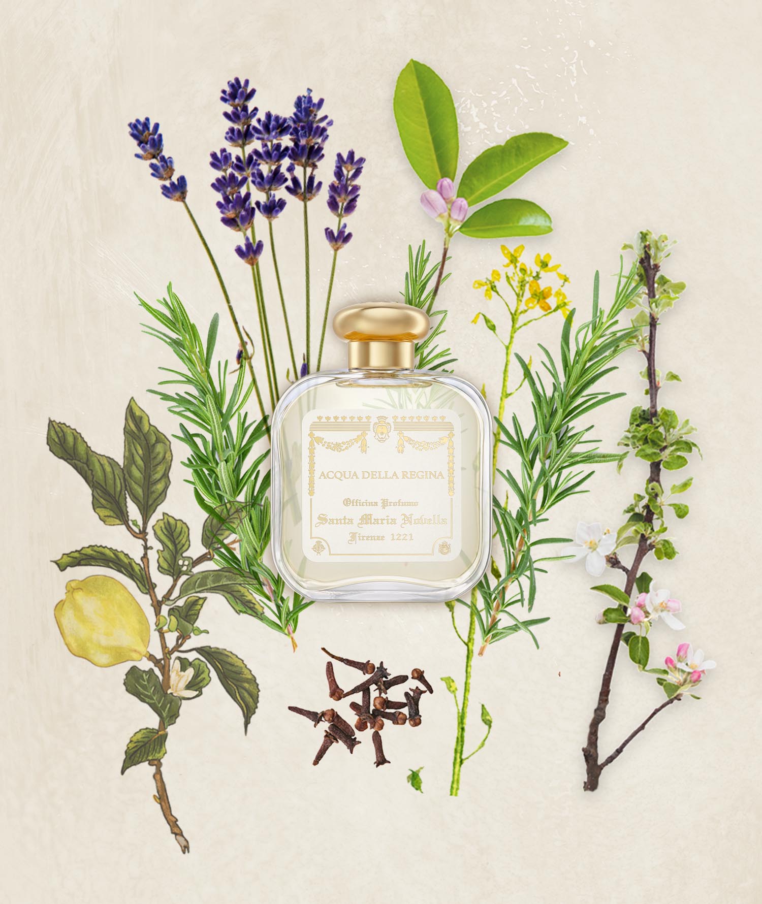 Acqua della Regina: Eau de Cologne - Santa Maria Novella