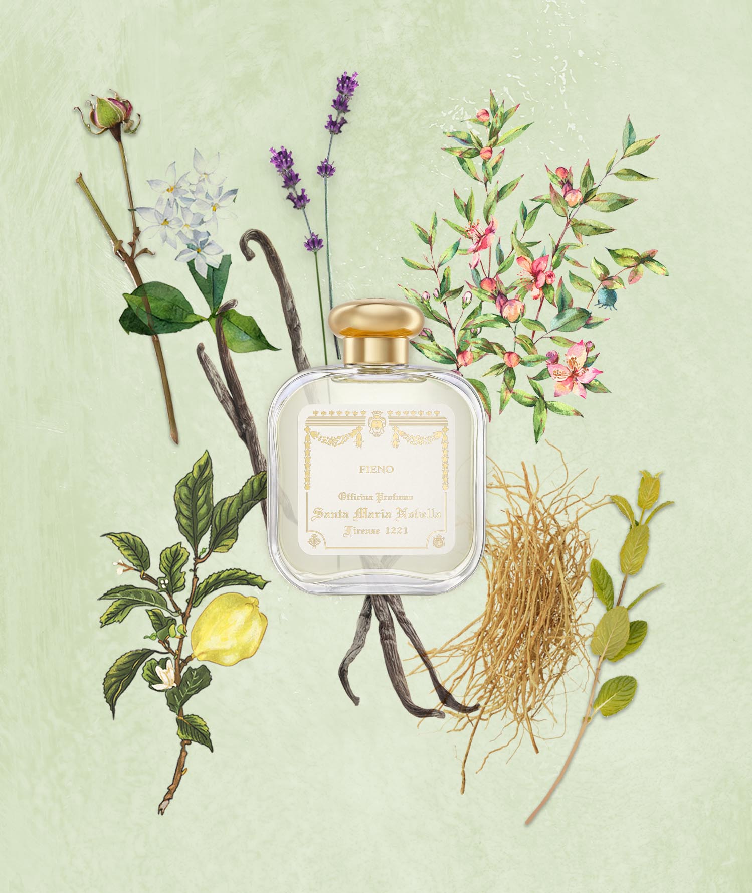 Fieno: Eau de Cologne - Santa Maria Novella