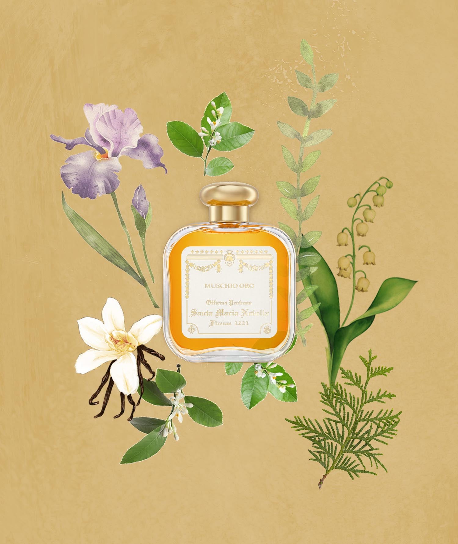 Muschio Oro: Eau de Cologne - Santa Maria Novella