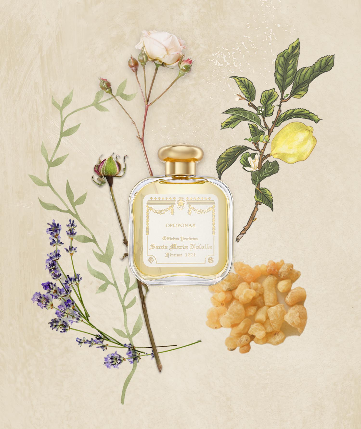 Opoponax: Eau de Cologne - Santa Maria Novella Opoponax: Eau de Cologne - Santa Maria Novella