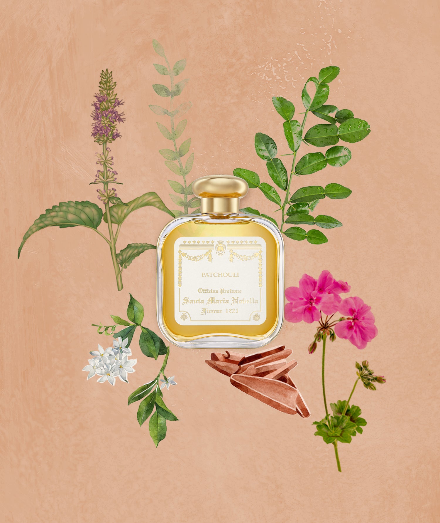Patchouli: Eau de Cologne - Santa Maria Novella