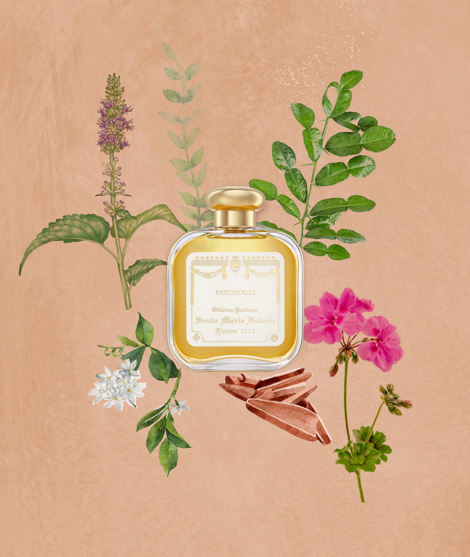 Patchouli: Eau de Cologne - Santa Maria Novella