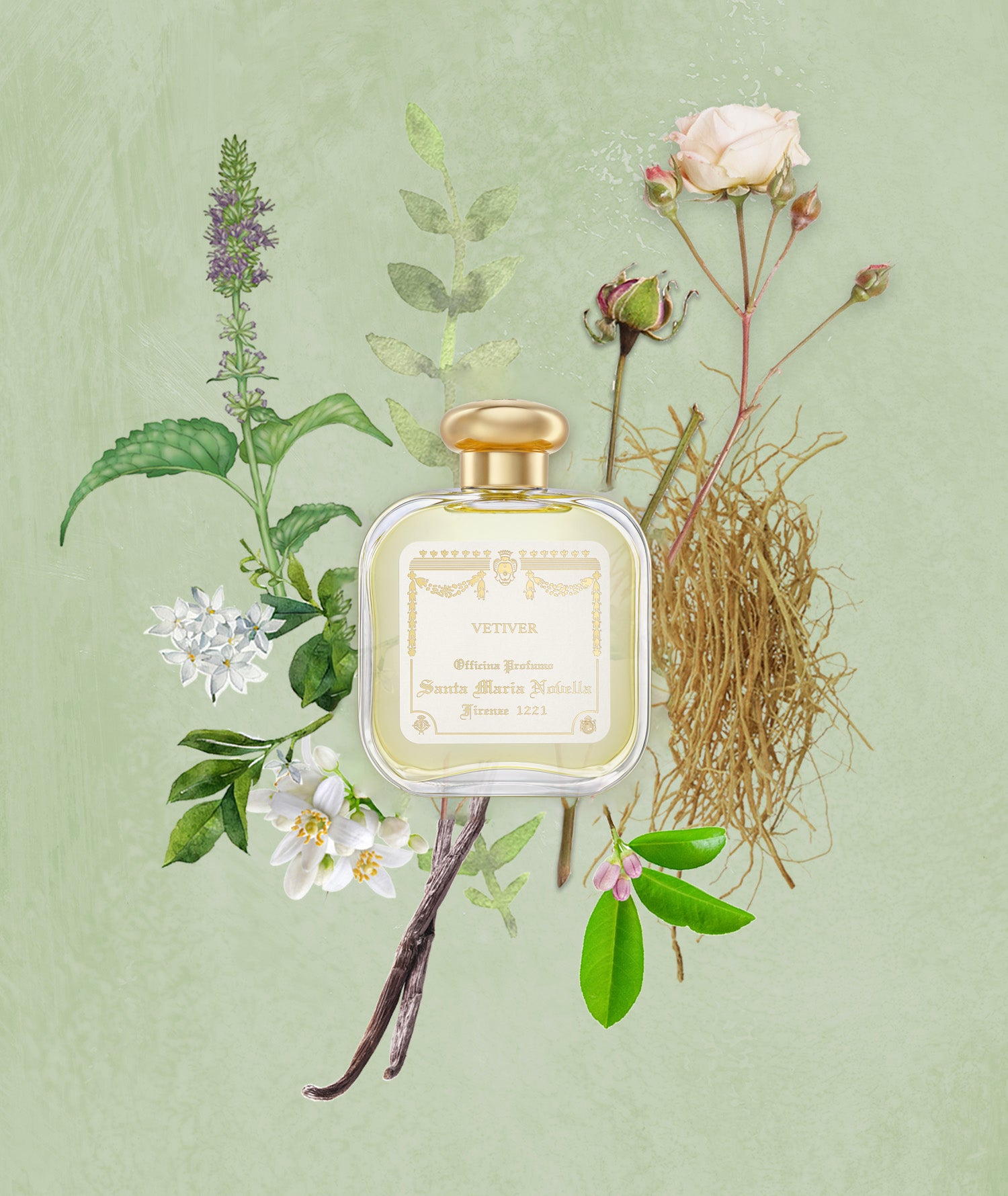 Vetiver: Eau de Cologne Santa Maria Novella