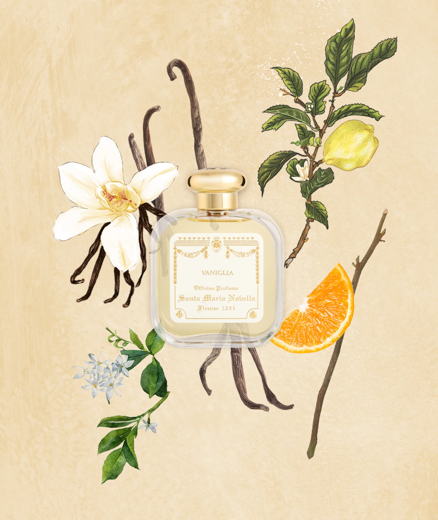 Vanilla Perfume: Eau de Cologne - Santa Maria Novella