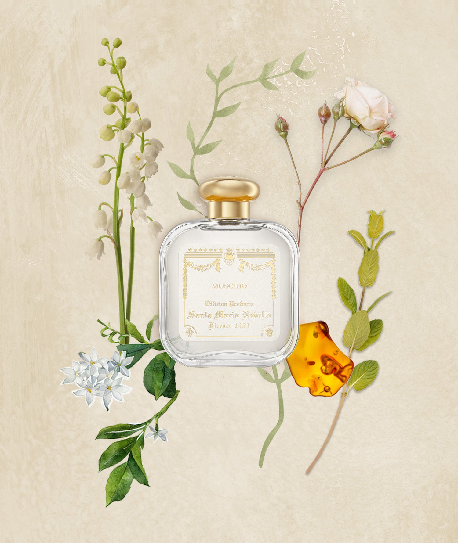 Muschio: Eau de Cologne - Santa Maria Novella