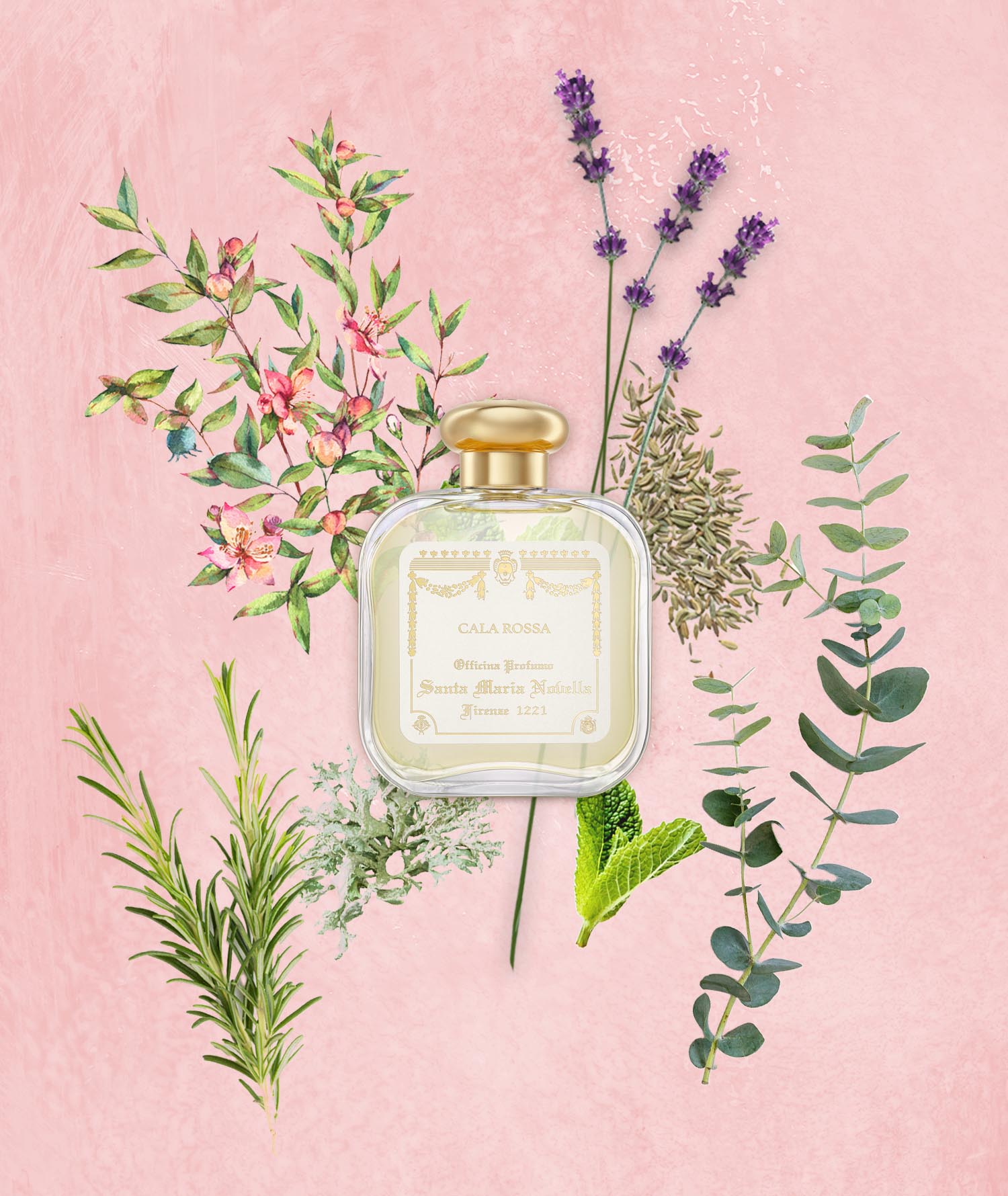 Cala Rossa: Eau de Cologne - Santa Maria Novella