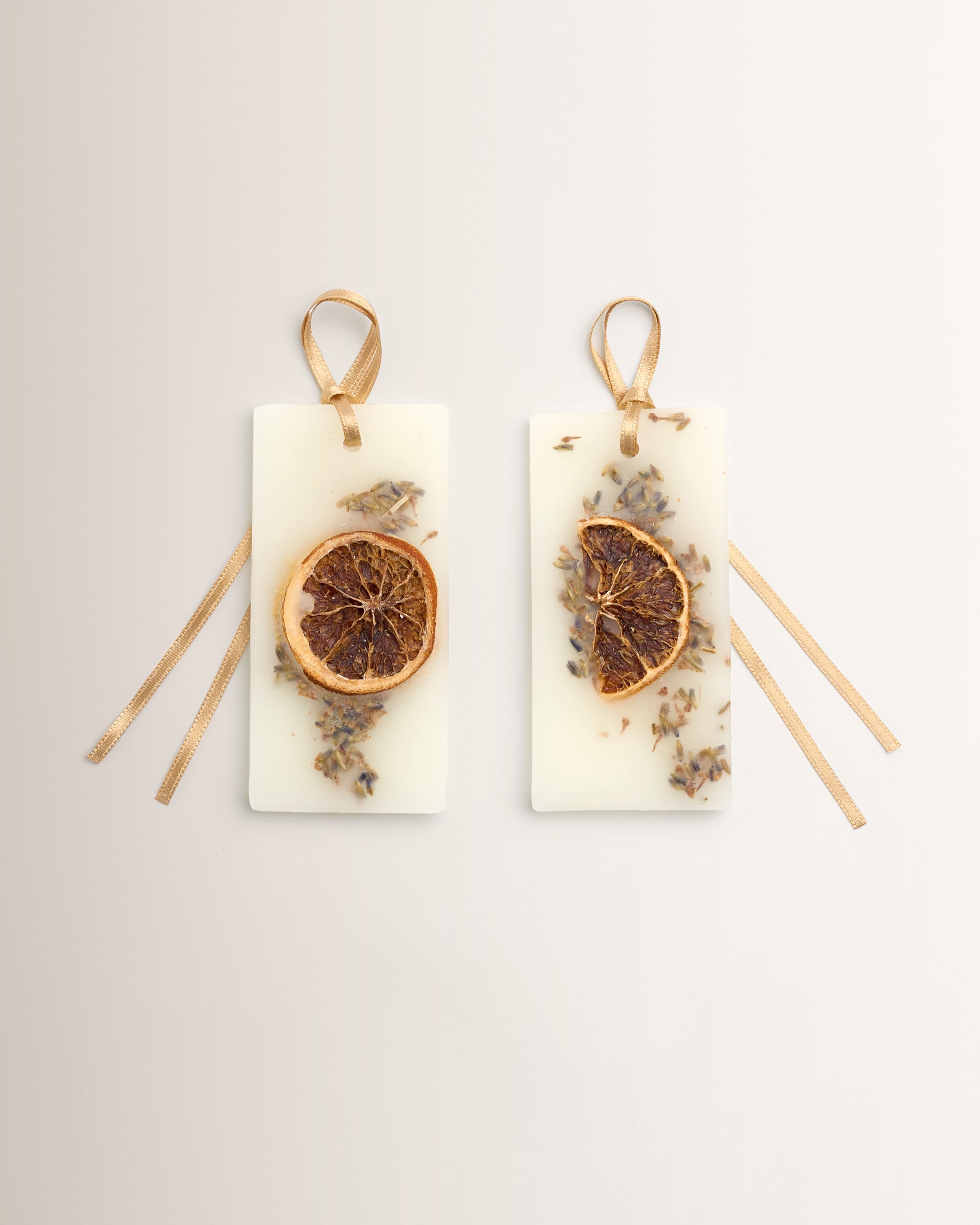 Tablettes de Cire Acqua della Regina