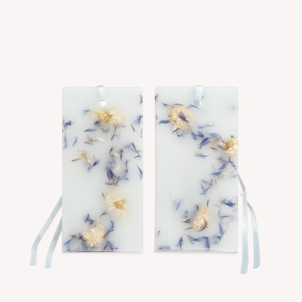 Tavolette di Cera Angeli di Firenze