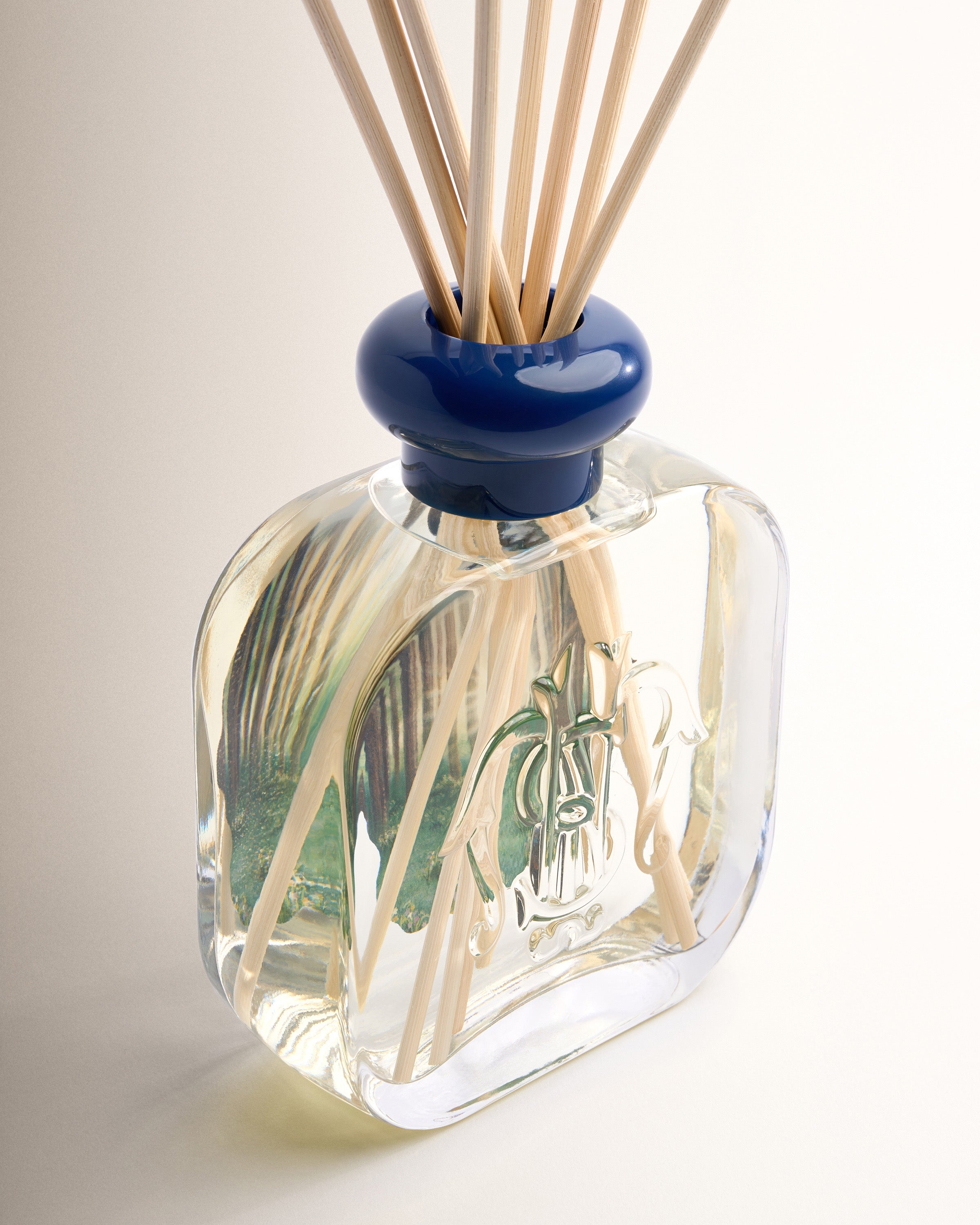 Asia: Fragrance Diffuser - Santa Maria Novella