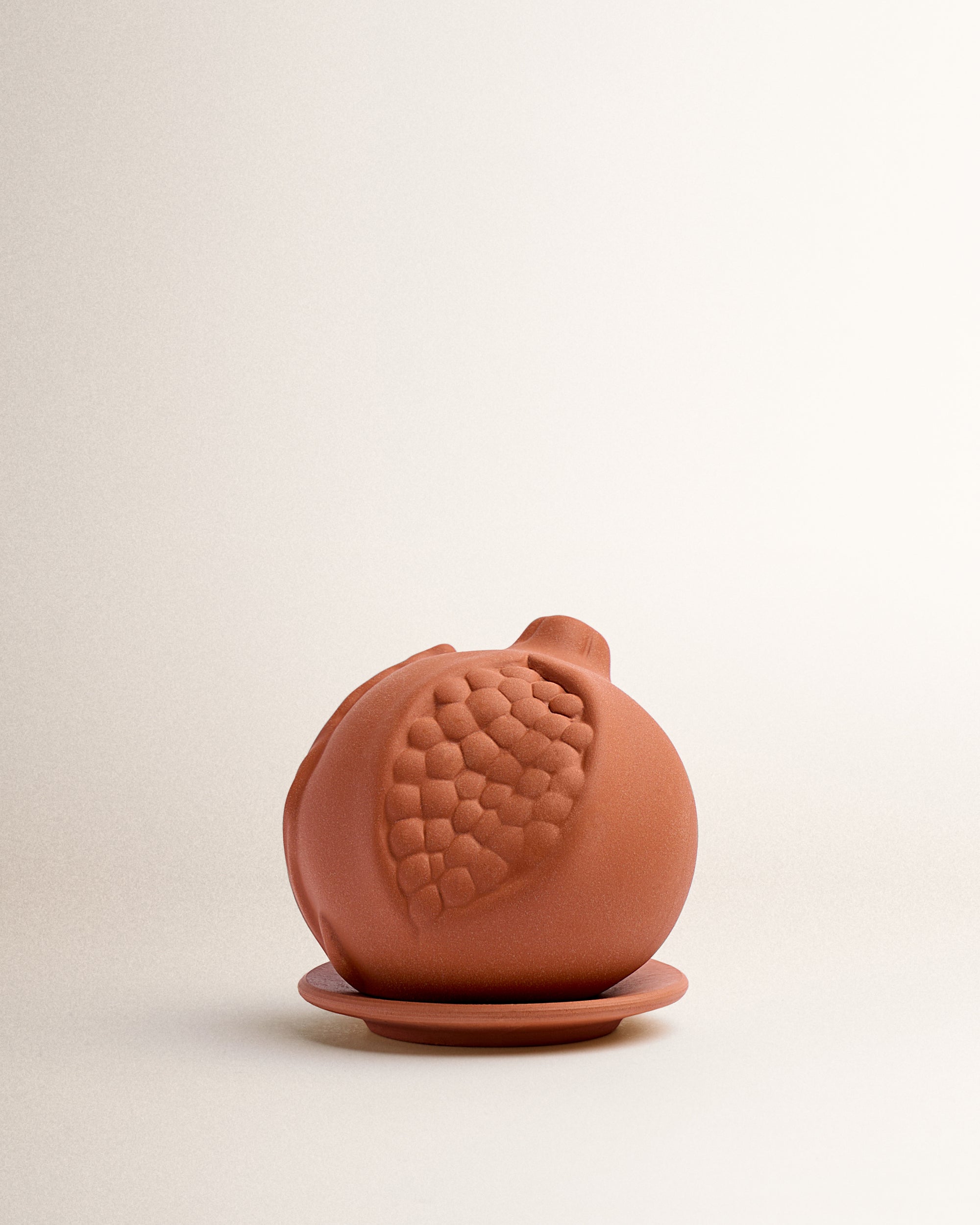 Melograno In Terracotta