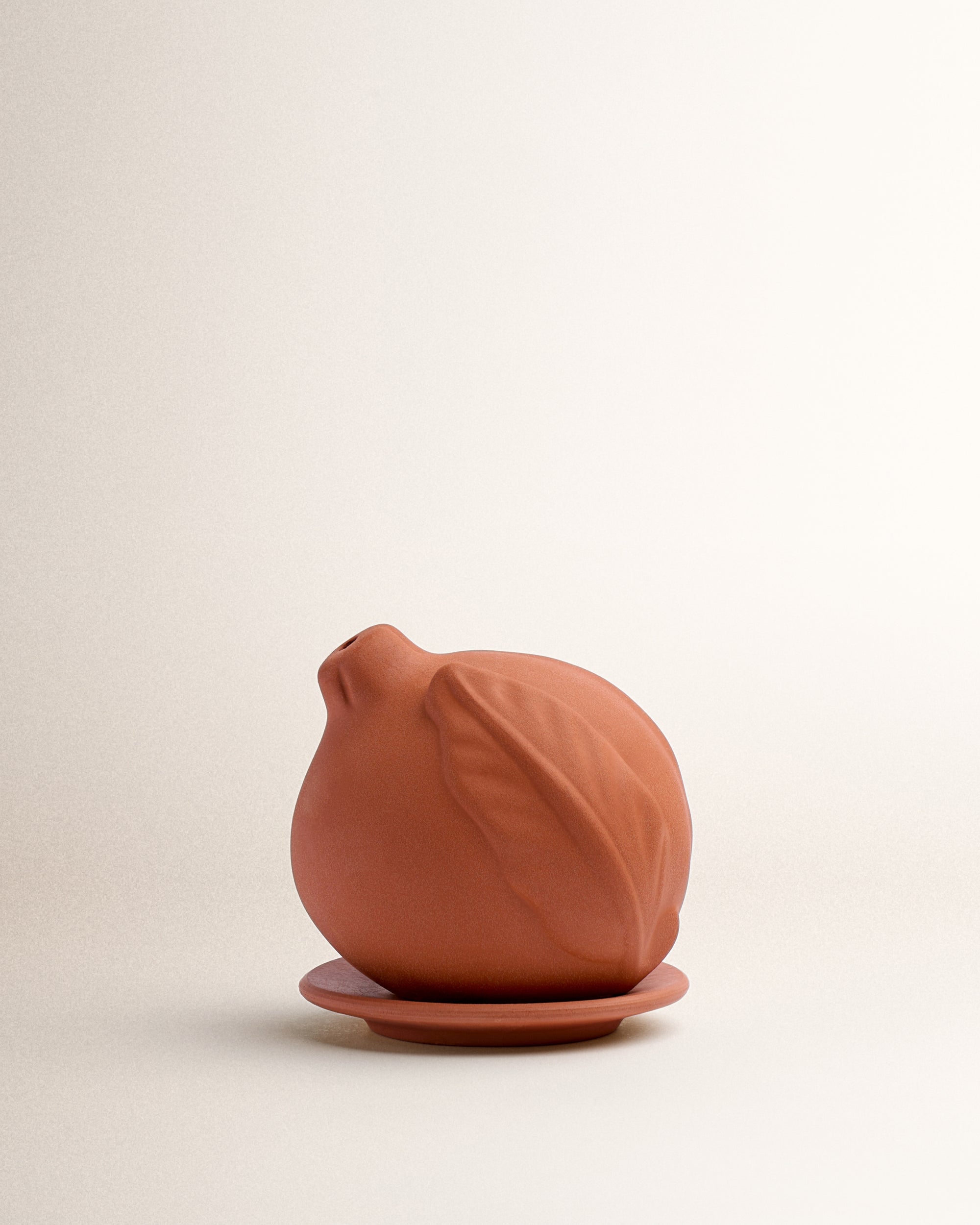 Melograno In Terracotta