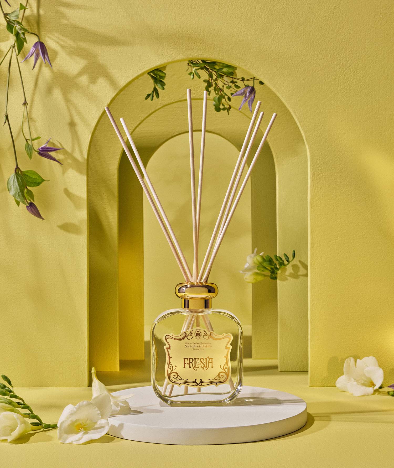 Fresia: discover it - Santa Maria Novella