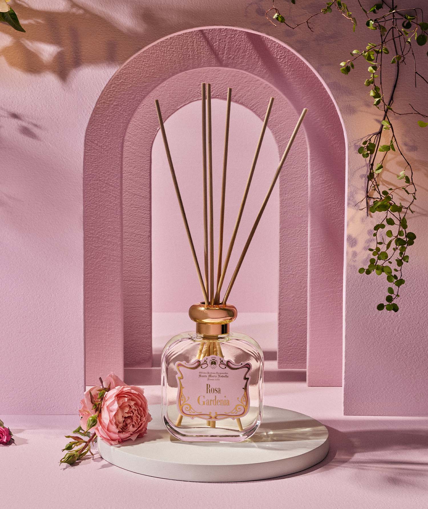 Rosa Gardenia: discover it - Santa Maria Novella