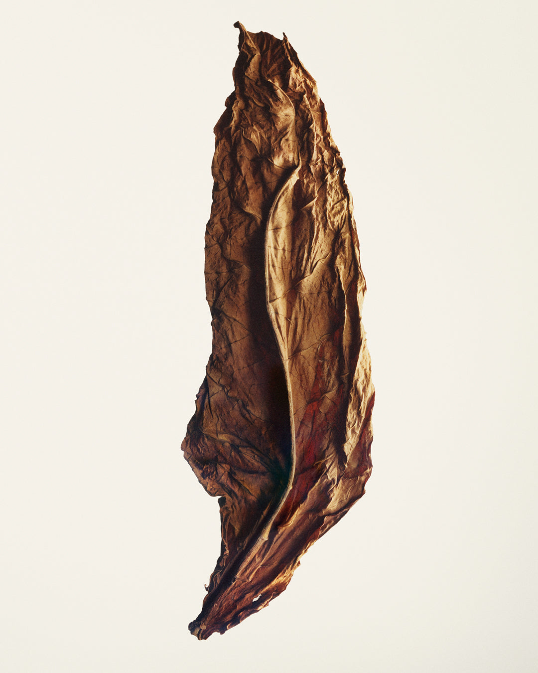 Tabacco Toscano