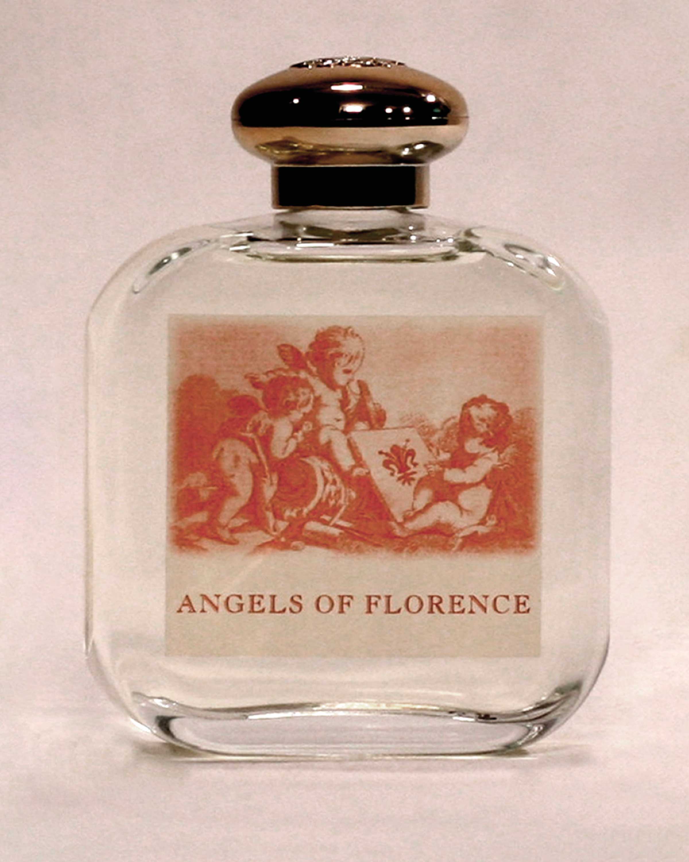 Angeli di Firenze: Scented Wax Tablets - Santa Maria Novella