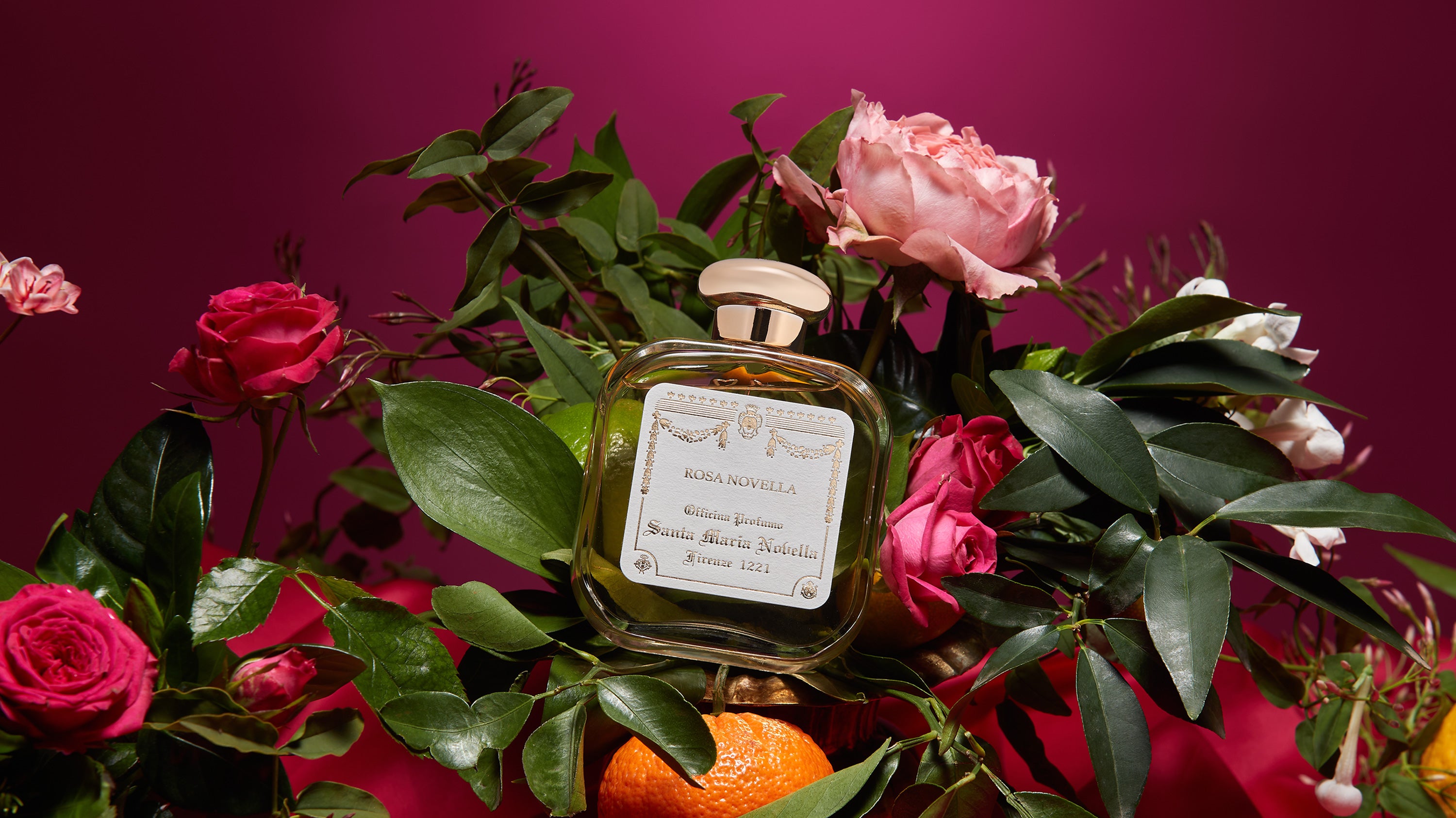 Officina Profumo Farmaceutica di Santa Maria Novella Since 1221